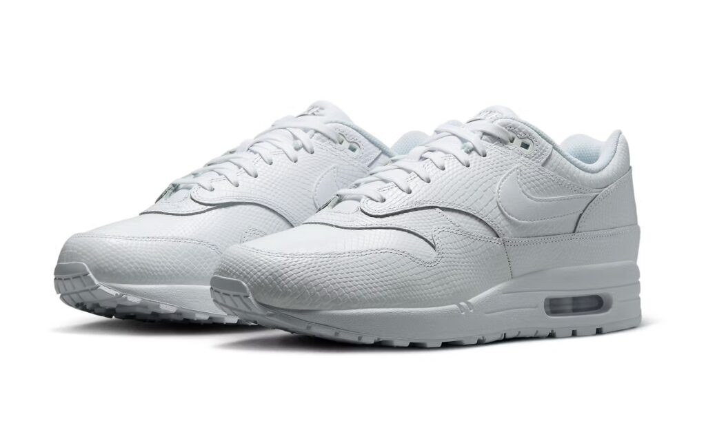 Sneaker Tip Nike Air Max 1 Premium Nike Air Max 1 Premium